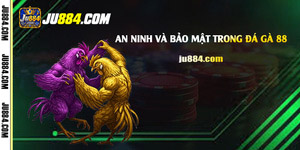 Đá gà 88 tại JU88: thông tin dịch vụ và cách kiểm tra tài khoản