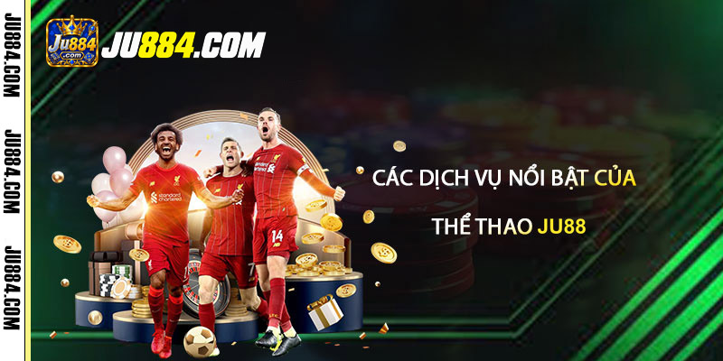Các chức năng hỗ trợ trải nghiệm tại sảnh thể thao