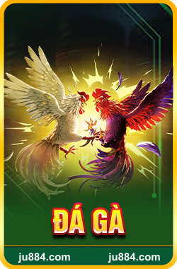 Đá Gà tại JU88
