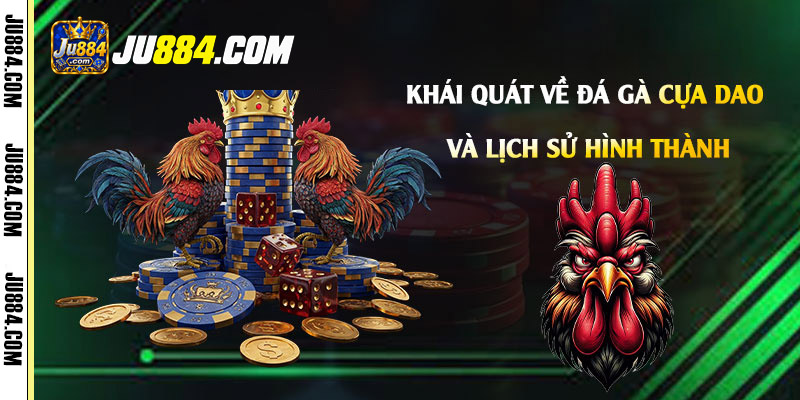 Đặc điểm của hình thức được gọi là đá gà cựa dao