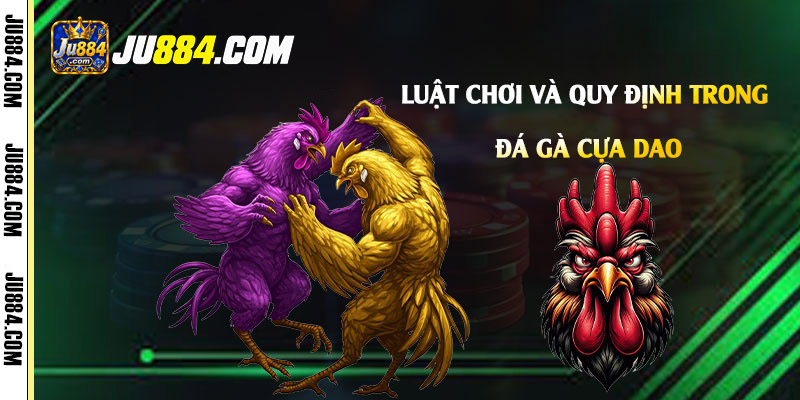 Chăm sóc sức khỏe gà và nhận biết giới hạn của thông tin truyền miệng