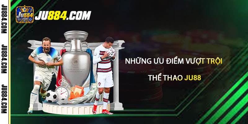Bố cục, lựa chọn thị trường và thông tin sử dụng