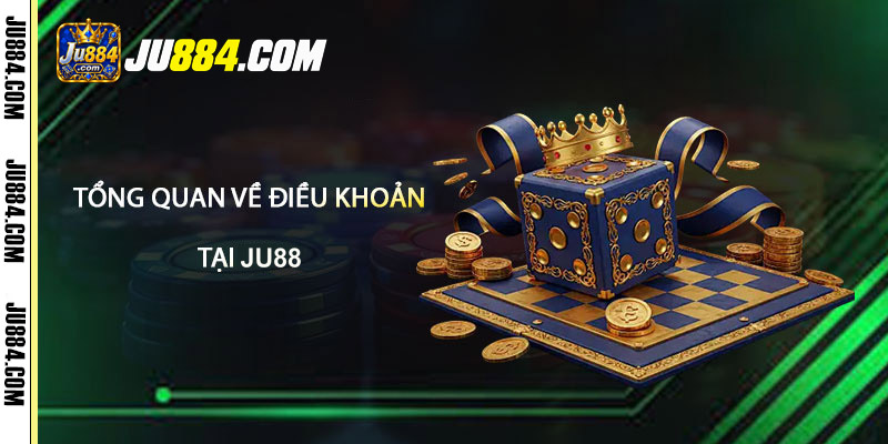 Vì sao cần đọc điều khoản trước khi xác nhận?