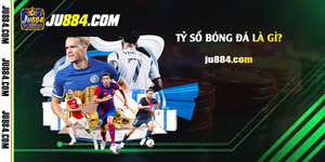 Tỷ số bóng đá: Cách đọc kết quả và theo dõi trận đấu chính xác