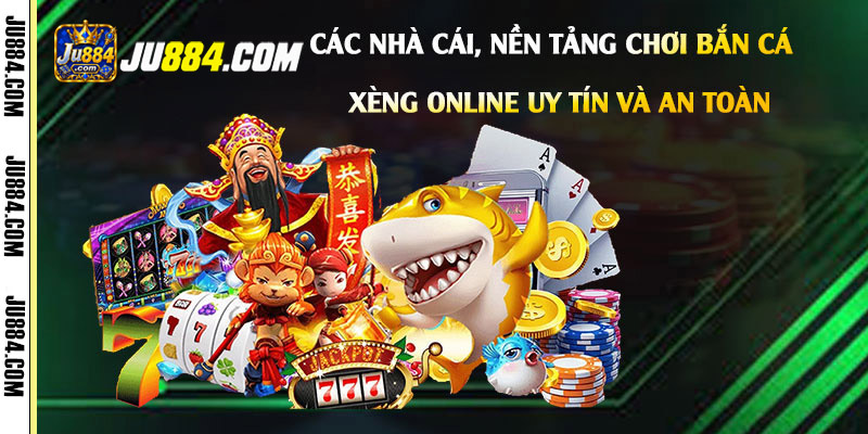 Thông tin cần rõ về luật, giao dịch và hỗ trợ