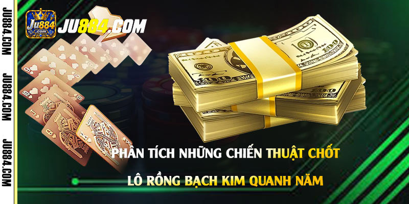 Tổ chức dữ liệu và ngân sách khi tham khảo bộ số