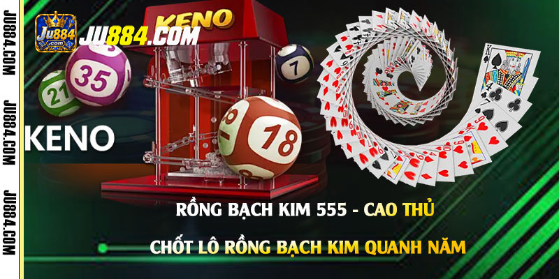 Rồng Bạch Kim 555: hiểu cách thống kê và theo dõi bộ số