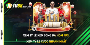 Xem tỷ lệ kèo bóng đá hôm nay: hiểu bảng kèo trước khi lựa chọn